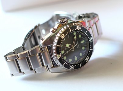 _MG_0983.JPG _MG_0983.JPG