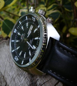 Orient King Diver brady tree 23-01-2012 2.jpg