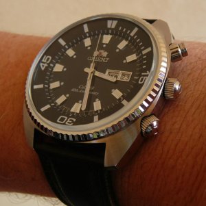 Orient King Diver brady arm 23-01-2012 3.jpg