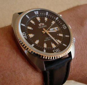 Orient King Diver brady arm 23-01-2012 1.jpg