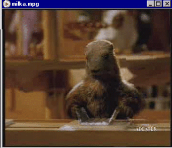 milka.gif