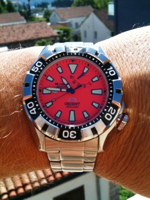 fotografija (87).JPG