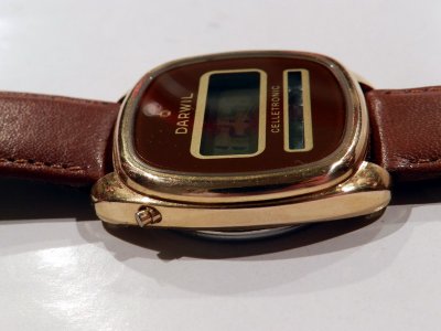 DSCN6664_exposure_resize.JPG DSCN6664_exposure_resize.JPG