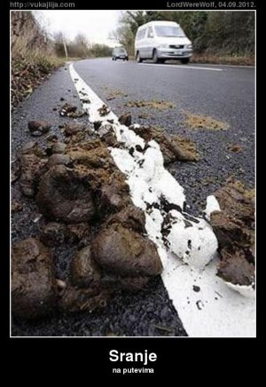sranje.jpg