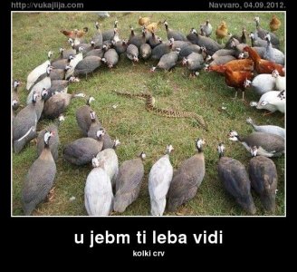 u-jebm-ti-leba-vidi.jpg