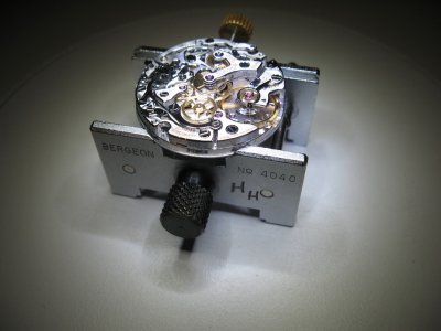 IMG_3833_resize.jpg IMG_3833_resize.jpg