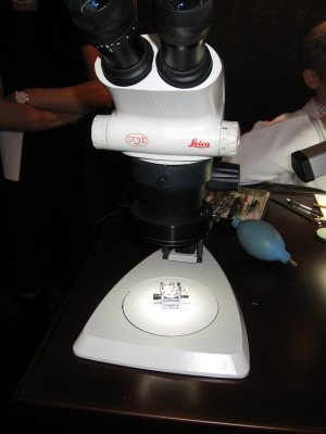 IMG_3836.JPG IMG_3836.JPG