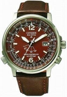 Citizen PMD56-2775 (Brown dial with matching strap).jpeg