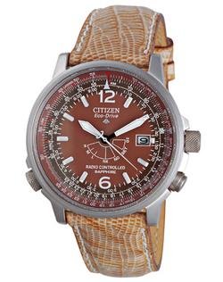 Citizen AS2031-06WP.jpeg