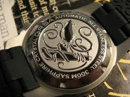 orsa6.jpeg orsa6.jpeg