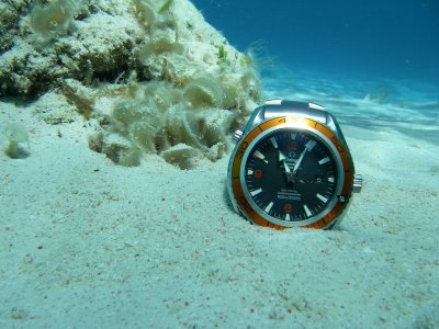 OMEGA Planet Ocean.jpg