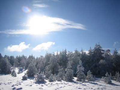 Divcibare 2006 073.jpg