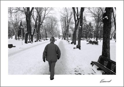 walker.jpg walker.jpg