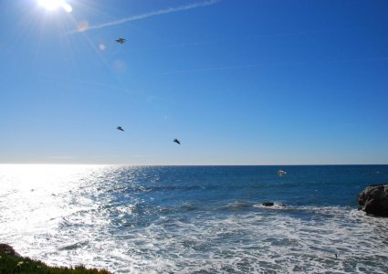 Zima na pacifiku.jpg