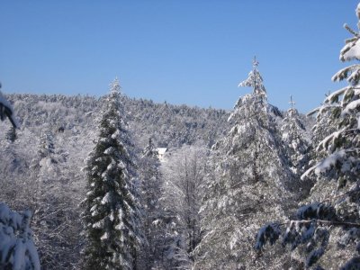 Divcibare 2006 072.jpg