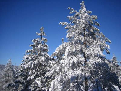 Divcibare 2006 071.jpg