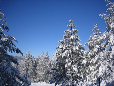 Divcibare 2006 070.jpg