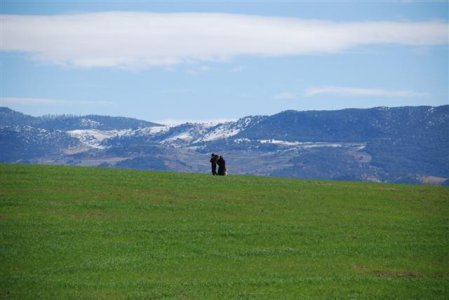 66DSC_3247 (Small).JPG