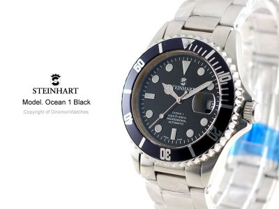 SteinhartOcean1Black2L.jpg