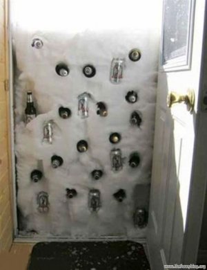 Fun-with-Ice-snow-fridge-humor-blog-424x550.jpg