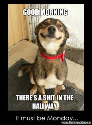 good-morning-theres-a-shit-in-the-hallway-funny-monday-it-must-be-monday.jpg