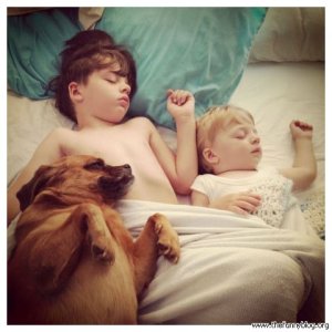 kids-sleeping-with-doggie-funny-photo.jpg
