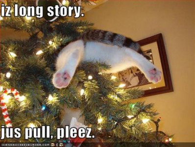 funny-cat-Christmas-tree-jus-pull.jpg