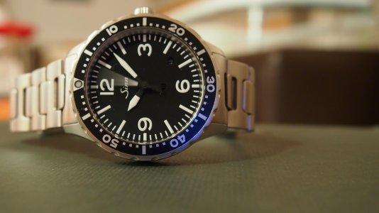 sinn657.jpg