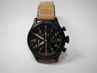 Steinhart allein.jpg