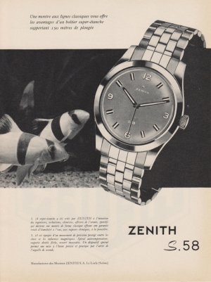 Zenith (4).jpg