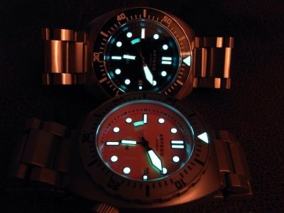 Artego 300m orange und schwarz -9.jpg