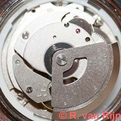 5 Orient_48743-1.jpg