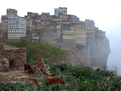 socotra19.jpg