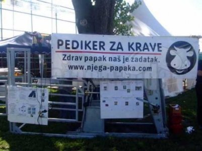 pedikir-za-krave_kobajagrande.com_-470x352.jpg