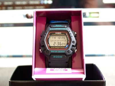 DW290-1V-watches-1313850285.jpg