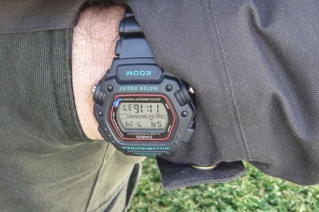 DW290-1V-watches-1342840311.jpg