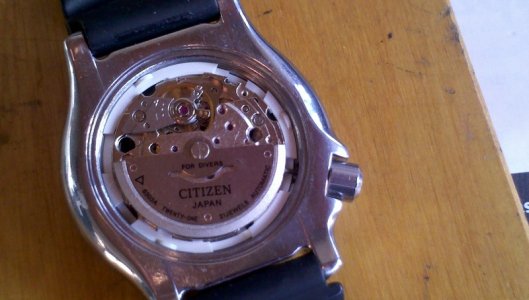 IMG_20121118_133523 - Copy.jpg