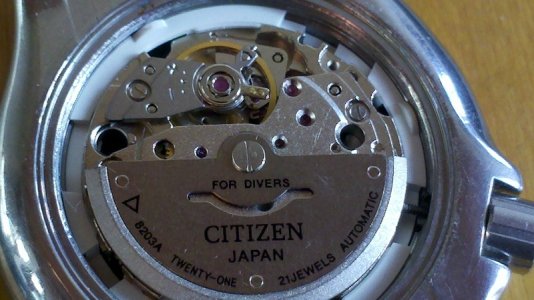 IMG_20121118_133539 - Copy.jpg