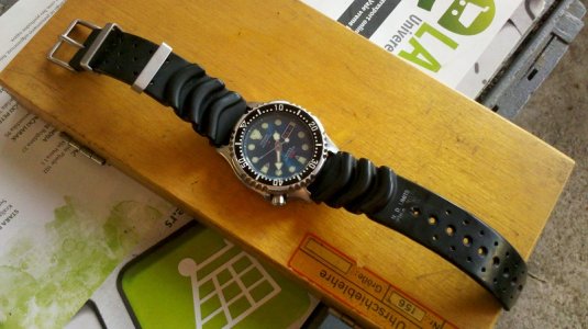 IMG_20121118_133923 - Copy.jpg