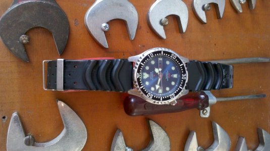 IMG_20121118_134718 - Copy.jpg