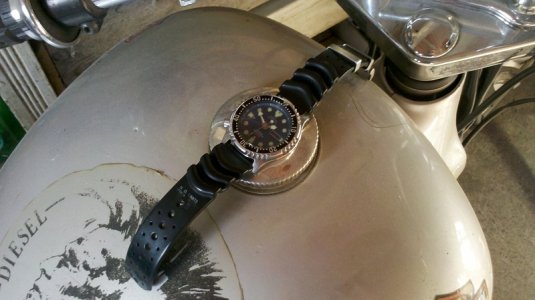 IMG_20121118_134906 - Copy.jpg