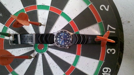 IMG_20121118_135101 - Copy.jpg