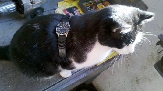 IMG_20121118_135149 - Copy.jpg