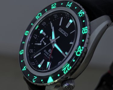 484615d1312323703-what-ultimate-grand-seiko-sdgmtlight3.jpg