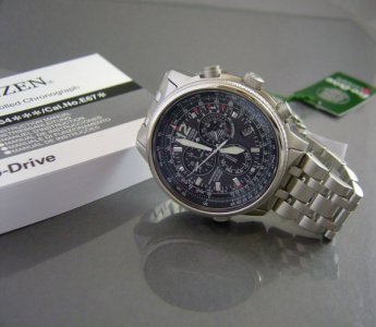 citizen%20pilot%20031.jpg citizen%20pilot%20031.jpg