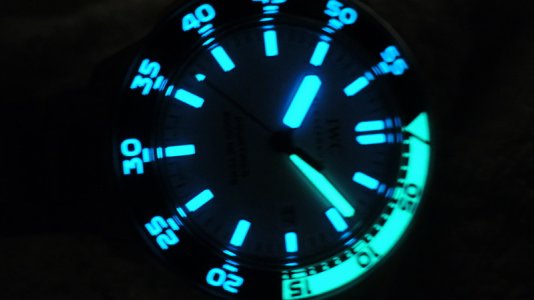 DSCN0146_resize.JPG DSCN0146_resize.JPG