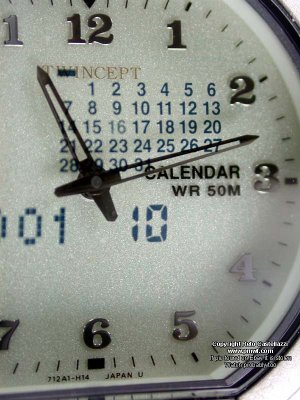 FirstTwinceptCalendarTwinceptDisplay.jpg FirstTwinceptCalendarTwinceptDisplay.jpg