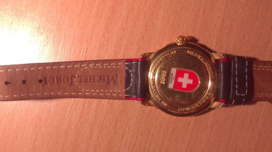 Michel Jordi 2 (2).jpg