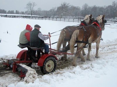 Snow_Plowing_Draft_Horses.JPG