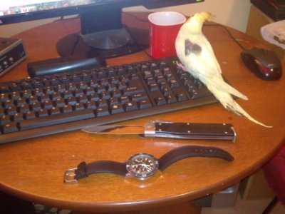 slika333 [DVD (NTSC)].jpg